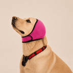 NovAZ Ear Cover