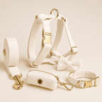 NovAZ Walk Kit