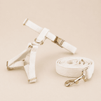 NovAZ Walk Kit
