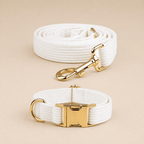 NovAZ Walk Kit