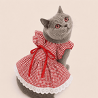 NovAZ Style Dress