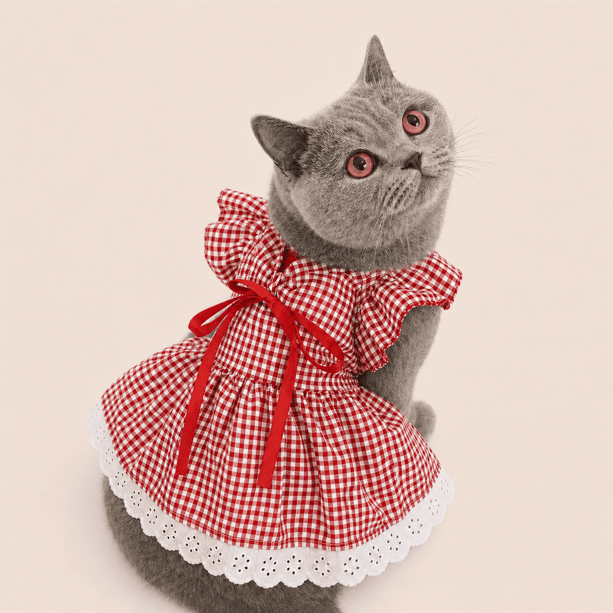 NovAZ Style Dress