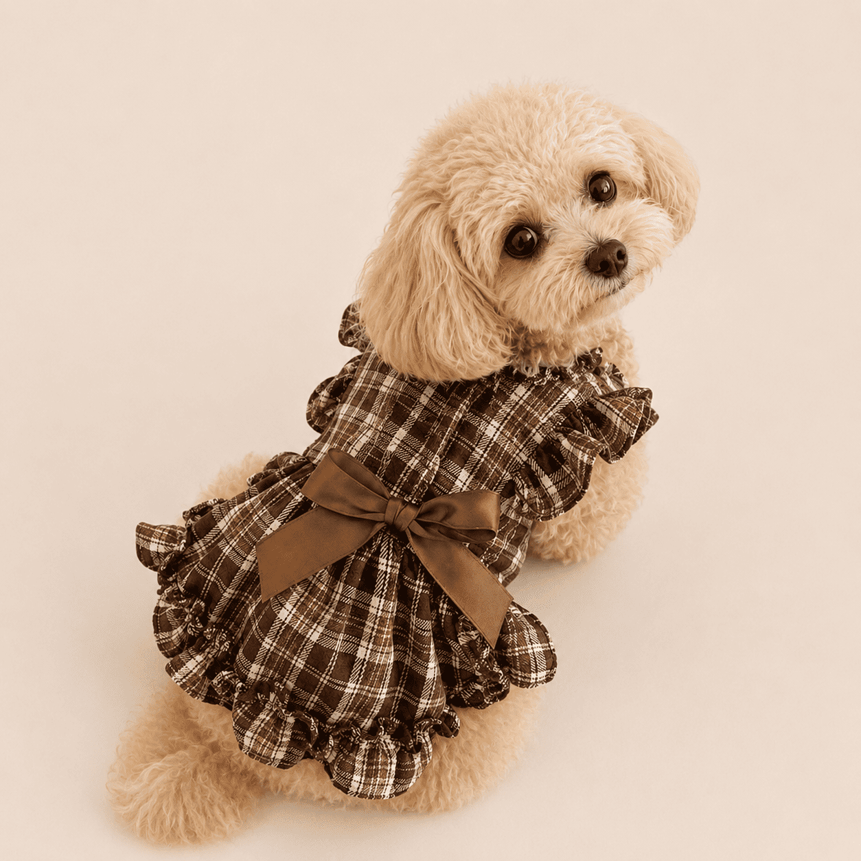 NovAZ Princess Dress