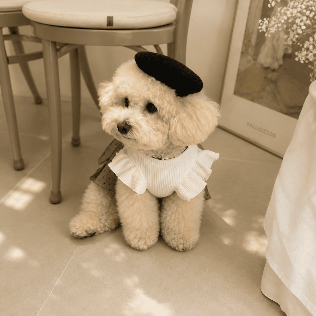 NovAZ Cotton Belle