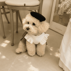 NovAZ Cotton Belle