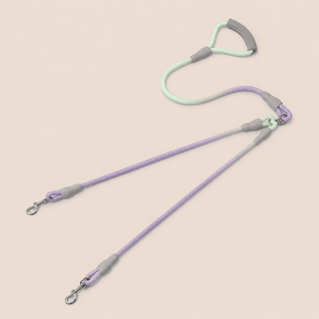 NovAZ Duo Leash