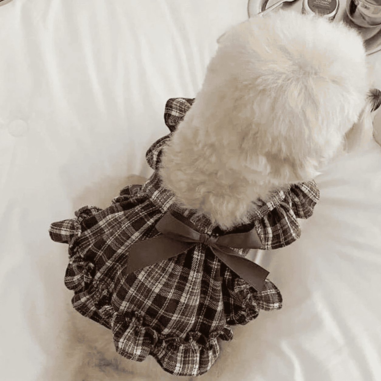 NovAZ Princess Dress