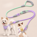 NovAZ Duo Leash